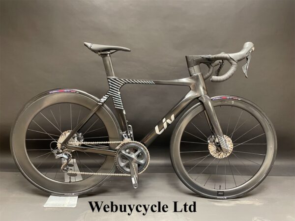 Giant EnviLiv Advanced Pro 1 Ultegra Disc Carbon Road Bike 2021 - Small